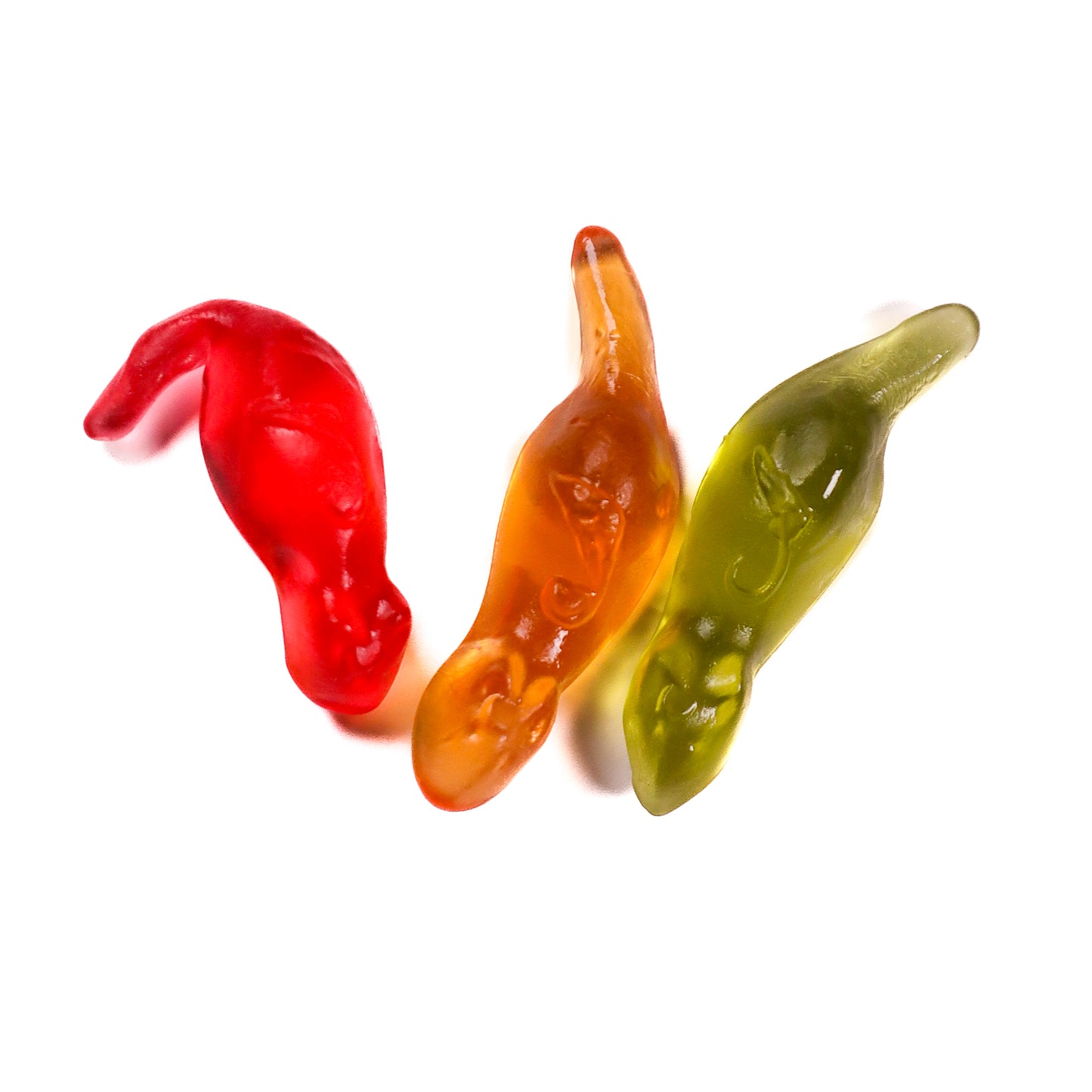 Jelly Rat Gummies