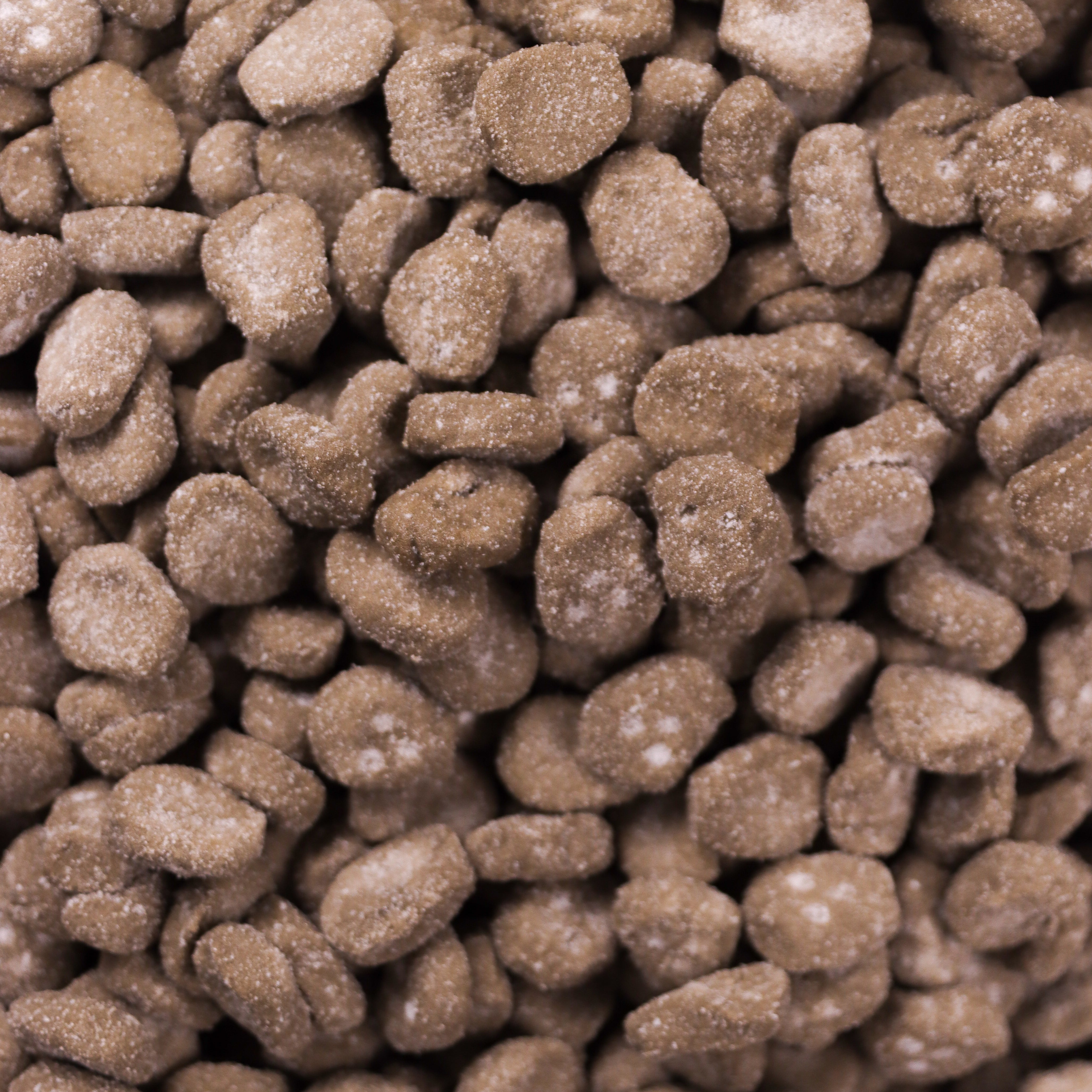 Licorice Skull Fizzy Foam Gummies – Swedish Moose Candy Co