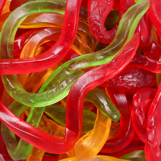 Large Snake Jellies